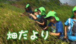 園だより